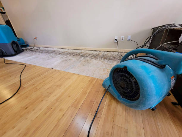 Reliable Basement Flood Cleanup contractor in Blanchard, OK by Hirex Water Damage