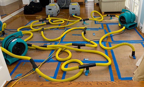 Professional Basement Flood Cleanup technician working in Blanchard, OK